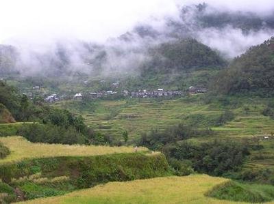 Buddhist Trip India